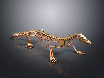 Professional Medical Instruments For Surgical Procedures And Clinical Training Applications 3d model