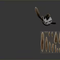 Brown Bird Feathers of Various Sizes Arranged with Reflections on Grey Background