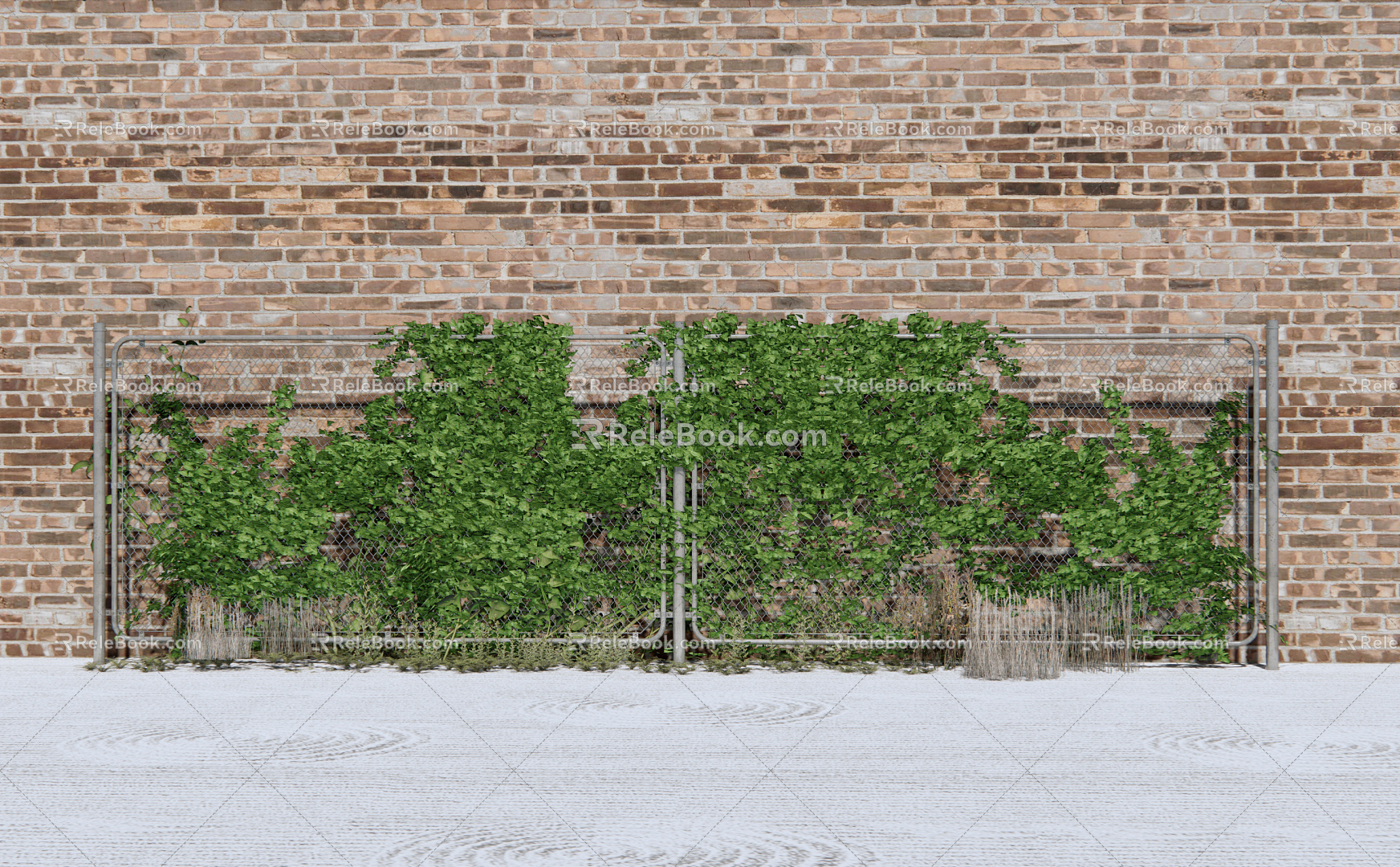 Modern Vine Vine Plant 3d model