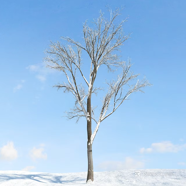Leafless Tree Standing Against Clear Blue Sky With White Clouds 3d model