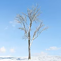 Leafless Tree Standing Against Clear Blue Sky With White Clouds 3d model