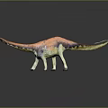 Colorful Sauropod Dinosaur Model With Long Neck Long Tail And Dark Background