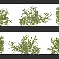 Modern Vine 3d model