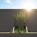 Roof Garden On Tiled Roof With Sunlight Tree Flowers And Blue Sky