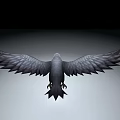 Black Crow With Spread Wings Flying Against Black Background And Gray Line Below