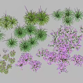 Vibrant Purple Flowers And Green Grasses In Garden Landscape Design