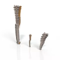 Anatomical Spinal Vertebrae Models in Different Sizes and Structures