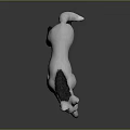 3D Model Of White Fur Fox With Large Ears Black Legs And Black Tail Tip