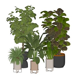 Modern potted plants, green plants, potted plants, potted plants, green plants, ornaments 3d model