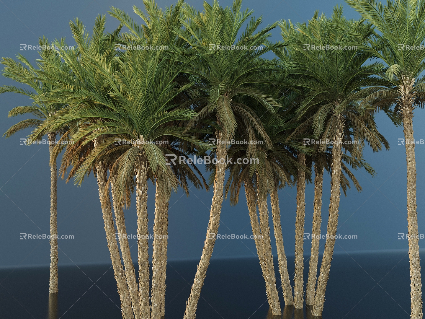 Modern Palm Trees Landscape Trees Tall Trees Landscape Trees Courtyard Landscape Trees Trees 3d model