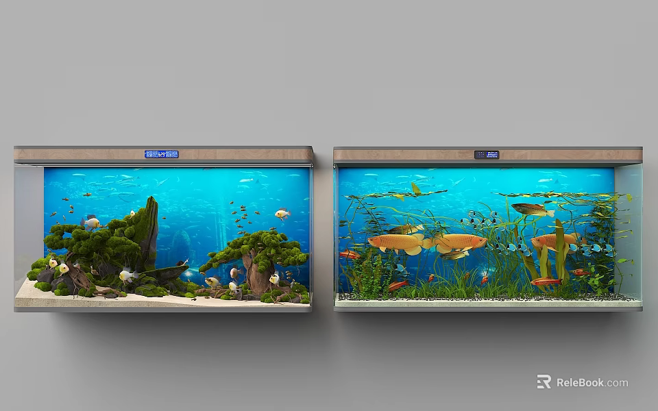 Stylish Aquarium Tank Setup With Colorful Fish Aquatic Plants And Decorative Elements For Home Interior 3d model 