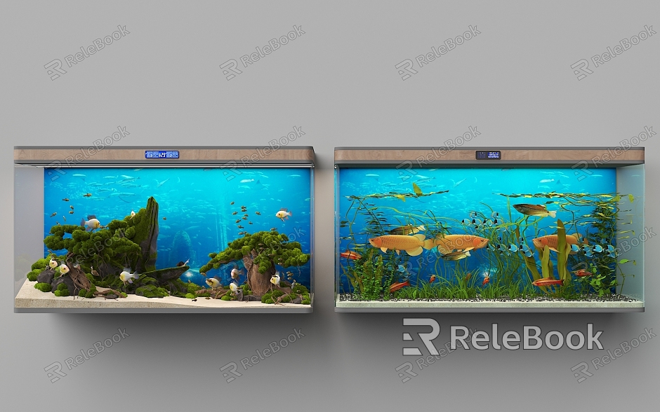 modern aquarium aquarium model