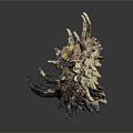 Unique Spiky Seashell With Colorful Spiral Texture And Detailed Decorative Edges