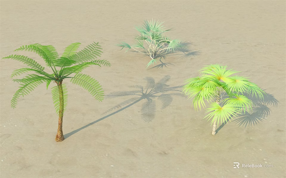 Tropical Arborescent Trees Including Palm Varieties and Green Foliage in Natural Environment 3d model 