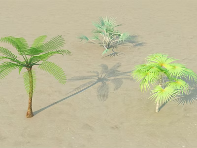 Tropical Arborescent Trees Including Palm Varieties and Green Foliage in Natural Environment 3d model