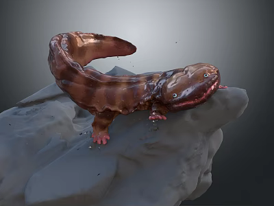 Detailed Brown Spotted Salamander Resting On Wet Rock In Natural Habitat 3d model