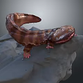 Detailed Brown Spotted Salamander Resting On Wet Rock In Natural Habitat