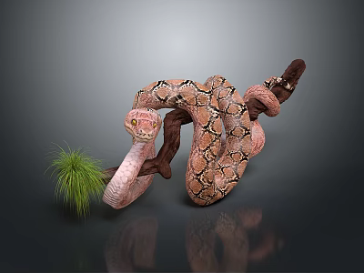 Pink And Brown Patterned Snake Coiled Around Branch On Dark Reflective Surface With Green Grass 3d model