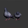 Two Blue Purple Pigeons With Pink Feet 3D Model On Dark Background With Reflection
