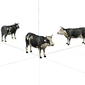 Three Black And White Cows Standing Together Isolated On White Background 3d model