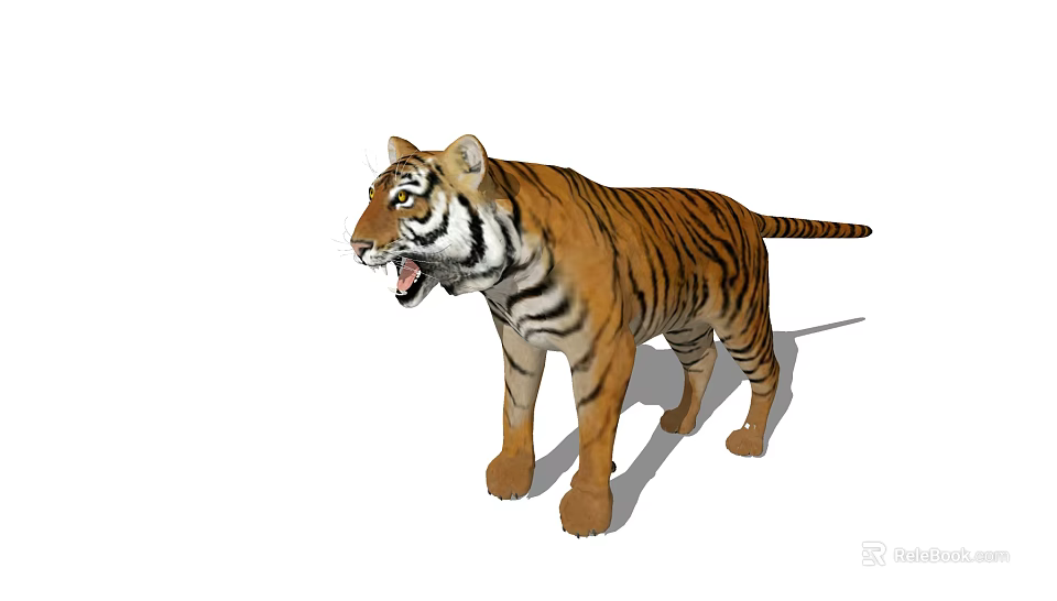 Realistic 3D Tiger Model With Orange Fur Black Stripes Open Mouth Standing Pose White Background 3d model 