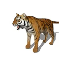 Realistic 3D Tiger Model With Orange Fur Black Stripes Open Mouth Standing Pose White Background