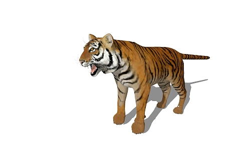 Modern Tiger Animals 3d model