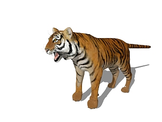 Modern Tiger Animals 3d model