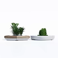 Modern Outdoor Chairs With Circular Design Wooden And White Frames Featuring Potted Plants