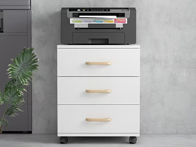 Office Appliance Printer On Rolling Drawer Cabinet With Wooden Handles And Green Plant 3d model