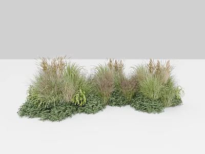 Ornamental Mixed Grasses And Green Foliage For Garden Landscape Decoration With Varied Heights And Textures 3d model