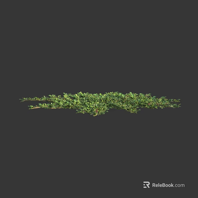 Lush Green Flowering Plants With Dense Foliage And Natural Branches 3d model 