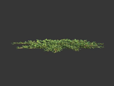 Lush Green Flowering Plants With Dense Foliage And Natural Branches 3d model