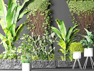 Lush Potted Bonsai Plants with Vines Banana Leaves Cactus in White Pots Stone Planters 3d model