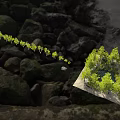 Tree White Birch Combination Plant Forest Scene Arbor 3d model