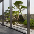 Modern Courtyard Garden Featuring Glass Windows Pine Tree Stones And Slate Floor Lighting