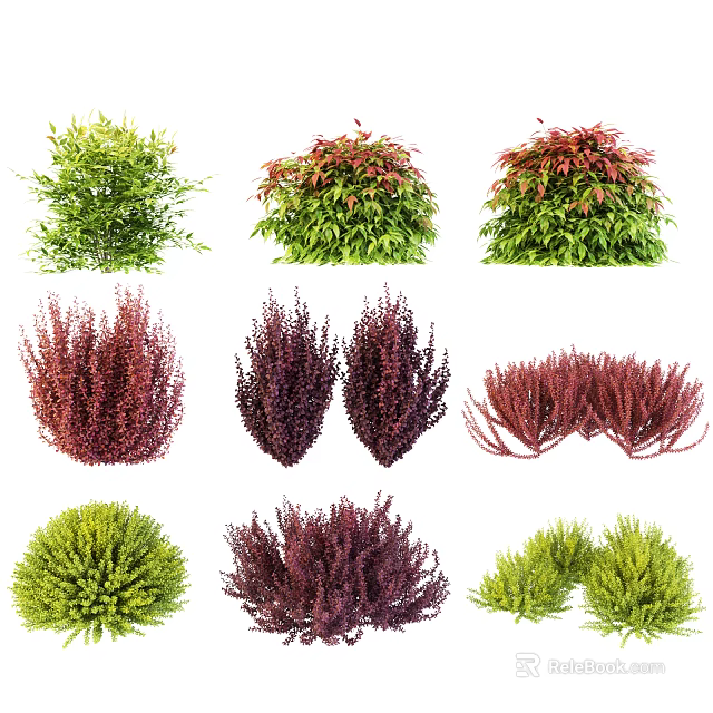 Diverse Colorful Shrubs With Green Red Purple Foliage And Various Shapes 3d model 