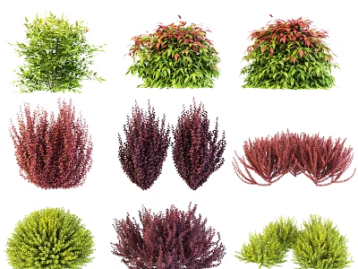 Diverse Colorful Shrubs With Green Red Purple Foliage And Various Shapes 3d model
