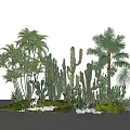 Green Plants Featuring Tall Palm Trees and Cacti on Moss Covered Ground With White Pebbles