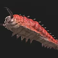 Red Spiky Creature With Segmented Body And Sharp Spines