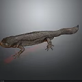 3D Rendered Salamander Character With Detailed Skin Texture And Red Body Features