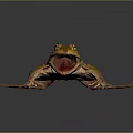 Yellow Striped Frog With Open Mouth And Webbed Feet On Dark Background