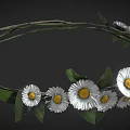 Braided Branch Wreath Adorned With White Daisies And Green Leaves