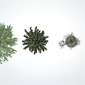 modern tree landscape tree arbor 3d model