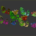 Decorative Plants with Green Leaves and Colorful Pink Orange Purple Blooms for Indoor Decoration