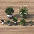 Various Hanging Basket Green Plants with Different Types and Flower Pot Styles on Wooden Floor
