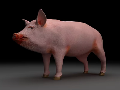 Realistic Pink Reptile Standing On Gray Surface With Black Background 3d model