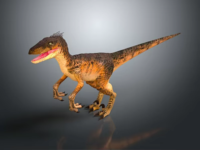 Velociraptor Dinosaur With Brown Yellow Skin Open Mouth Sharp Teeth Standing On Grey Gradient Background 3d model