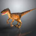 Velociraptor Dinosaur With Brown Yellow Skin Open Mouth Sharp Teeth Standing On Grey Gradient Background