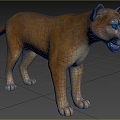 Modern Florida Cougar Animal Creatures 3d model